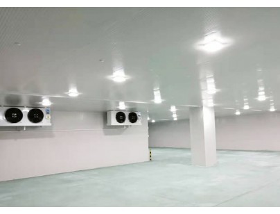 廣東完美400㎡日用品恒溫庫、冷藏庫（防爆冷庫）工程建造方案