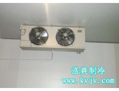 浙江永寧藥業(yè)股份公司醫(yī)藥冷庫設計建造方案