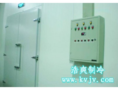 浙江永寧藥業(yè)股份公司醫(yī)藥冷庫設計建造方案