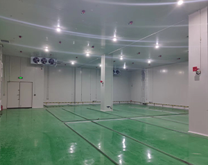 400立方米鋰電池工業(yè)防爆冷庫施工報(bào)價方案