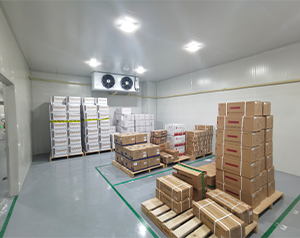 四川gsp藥品類(lèi)型診斷試劑冷庫(kù)建造施工方案