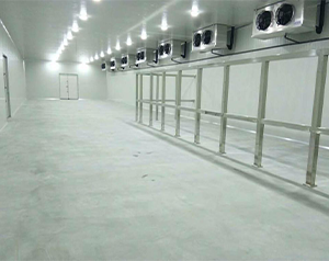 自動立體化冷庫(智能冷藏庫)建造設(shè)計方案