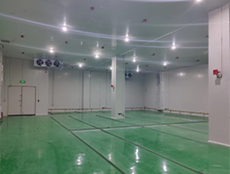 河南1000m³防爆冷庫(kù)安裝多少錢?防爆倉(cāng)庫(kù)供應(yīng)商
