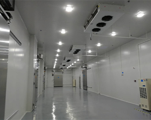 生物樣本冷庫、試劑冷庫建造主要需要哪些設(shè)備？