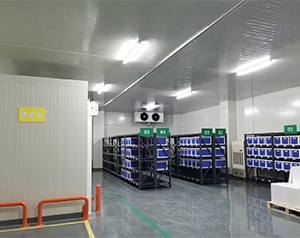 藥企公司建造低溫醫(yī)藥冷庫的方案和預(yù)算？