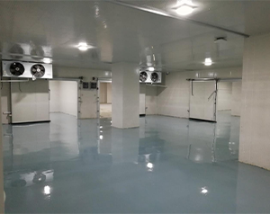 藥企公司建造低溫醫(yī)藥冷庫的方案和預(yù)算？
