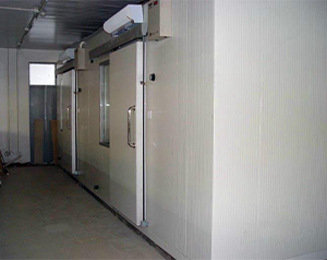 建設海產品低溫冷凍庫安裝費用是多少？