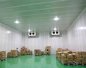 4500㎡藥品冷鏈物流冷庫設(shè)計方案，冷庫預(yù)算多少錢