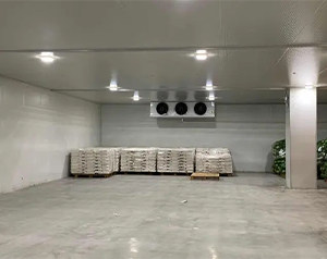 5000噸果蔬氣調(diào)庫項目造價大概在多少錢?