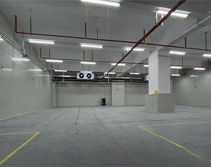 60平方氣調(diào)冷庫造價多少錢?總立方在360立方米氣調(diào)庫價格