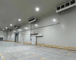 建個(gè)小型冷藏庫(kù)多少錢?冷藏庫(kù)建設(shè)造價(jià)？