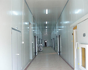 建一個(gè)100噸的冷庫要多少錢