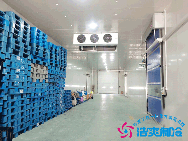 2000平倉(cāng)庫(kù)改建食品冷凍庫(kù)怎么設(shè)計(jì)建造