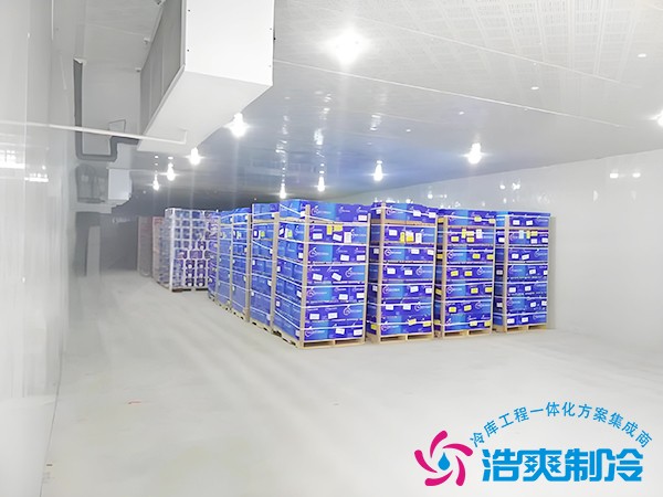 甲類?；防鋷?kù)建造價(jià)格