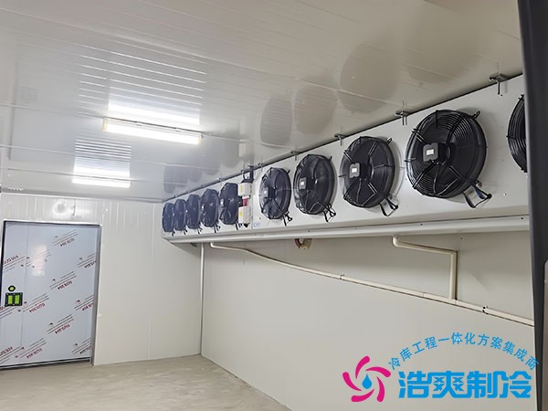 速凍冷庫(kù)多少錢