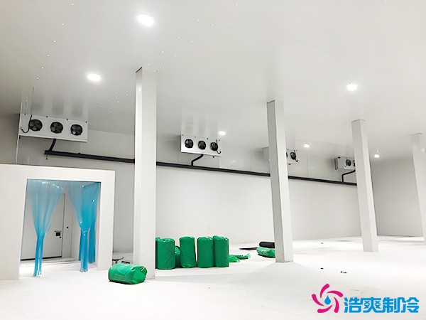 建造萬噸級(jí)大型冷庫(kù)造價(jià)大概多少錢？萬噸冷庫(kù)造價(jià)影響因素