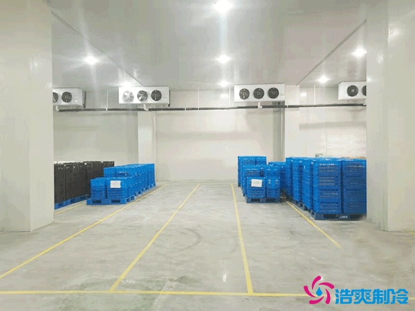 建造萬噸級(jí)大型冷庫(kù)造價(jià)大概多少錢？萬噸冷庫(kù)造價(jià)影響因素