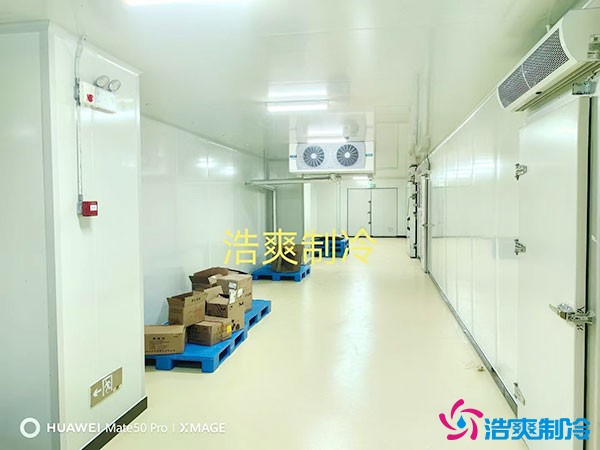 儲存疫苗的企業(yè)獨立冷庫有幾個？生物疫苗冷庫造價