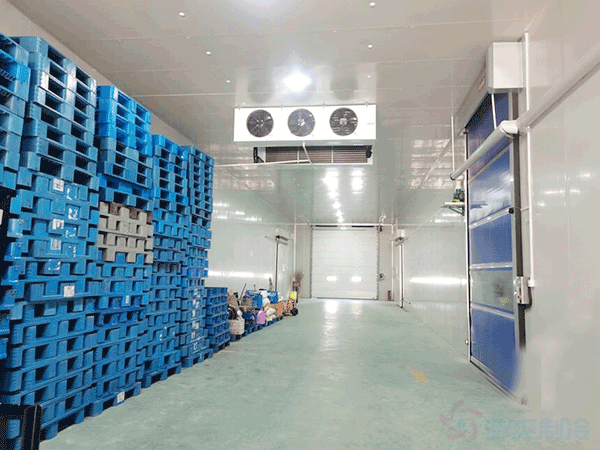 想建一個(gè)市級配送中心冷庫建設(shè)成本大概多少錢？